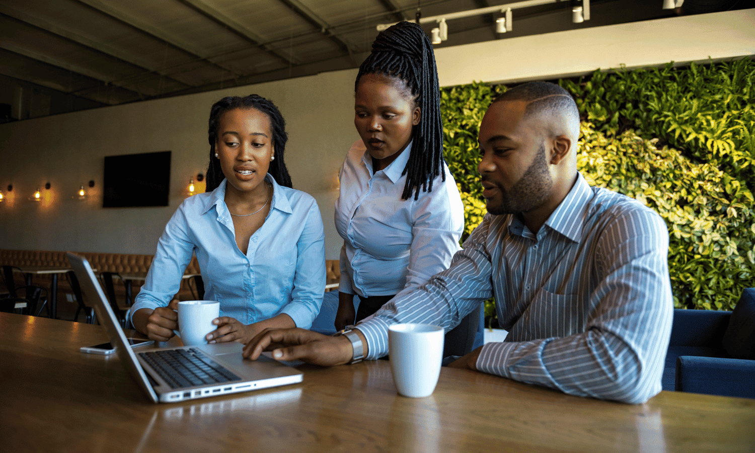 About Pakuya Consultancy